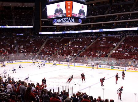 The Coyotes lose 5-1 to Blues