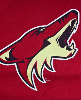 Coyotes Grind From Behind to Beat Red Wings