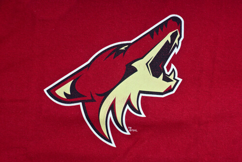 Coyotes Grind From Behind to Beat Red Wings